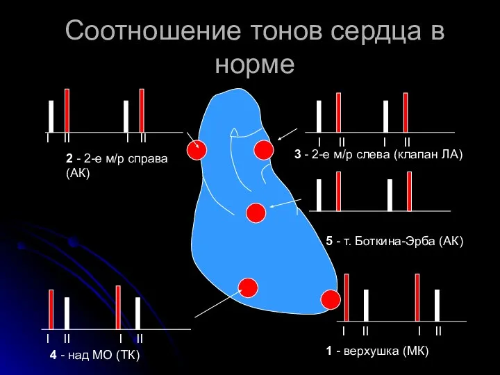 Соотношение тонов сердца в норме 2 - 2-е м/р справа (АК)