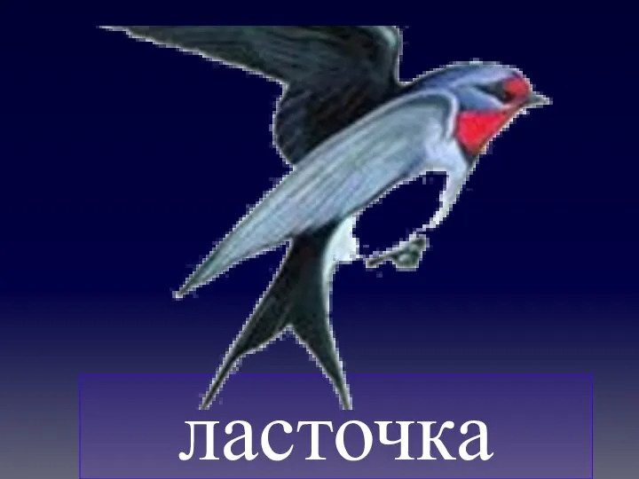 ласточка