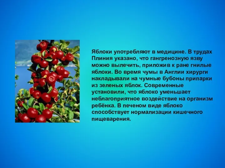 Яблоки употребляют в медицине. В трудах Плиния указано, что гангренозную язву