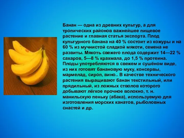 Банан — одна из древних культур, а для тропических районов важнейшее