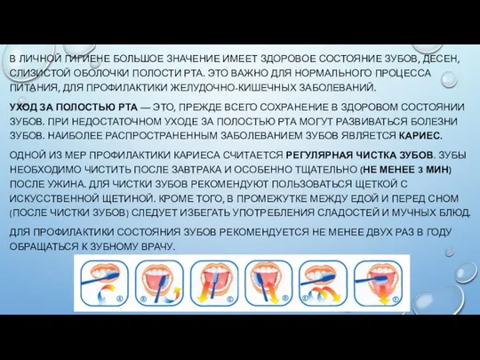 В ЛИЧНОЙ ГИГИЕНЕ БОЛЬШОЕ ЗНАЧЕНИЕ ИМЕЕТ ЗДОРОВОЕ СОСТОЯНИЕ ЗУБОВ, ДЕСЕН, СЛИЗИСТОЙ