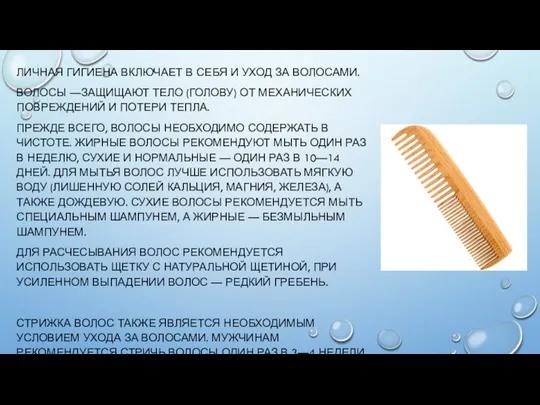 ЛИЧНАЯ ГИГИЕНА ВКЛЮЧАЕТ В СЕБЯ И УХОД ЗА ВОЛОСАМИ. ВОЛОСЫ —ЗАЩИЩАЮТ