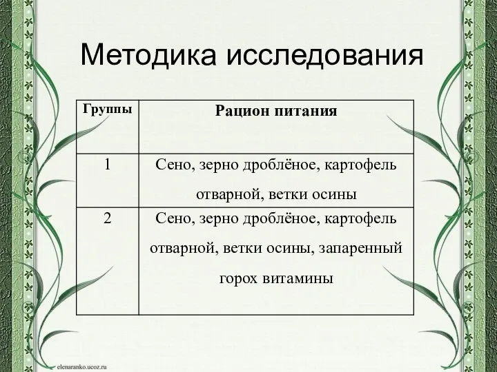 Методика исследования