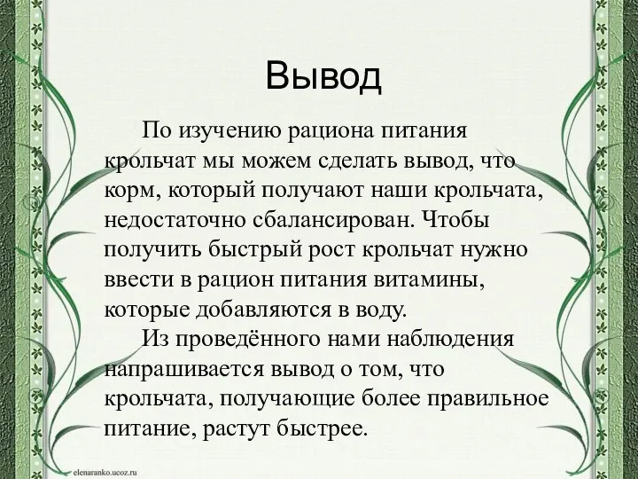 Вывод По изучению рациона питания крольчат мы можем сделать вывод, что