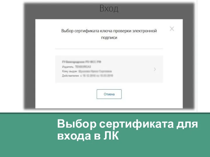 Выбор сертификата для входа в ЛК