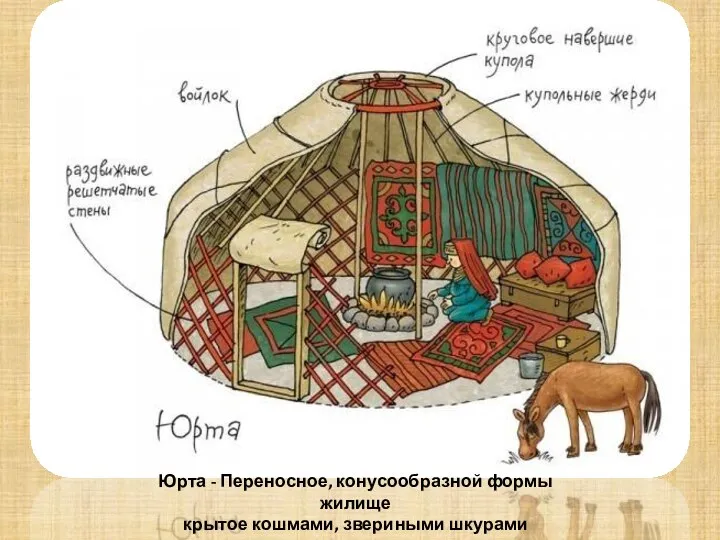 Юрта - Переносное, конусообразной формы жилище крытое кошмами, звериными шкурами