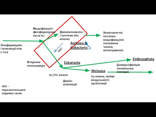 Вторинні месенджери