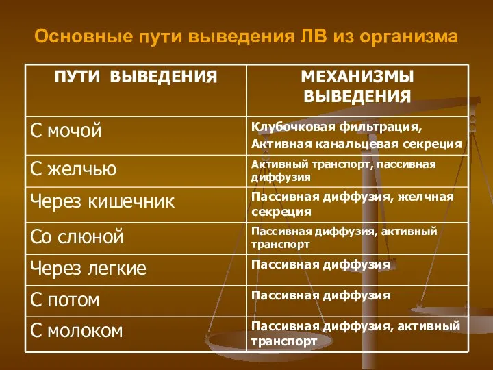 Основные пути выведения ЛВ из организма