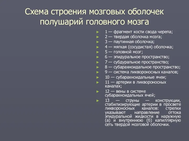 Схема строения мозговых оболочек полушарий головного мозга 1 — фрагмент кости