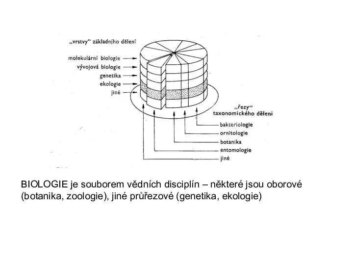 BIOLOGIE je souborem vědních disciplín – některé jsou oborové (botanika, zoologie), jiné průřezové (genetika, ekologie)