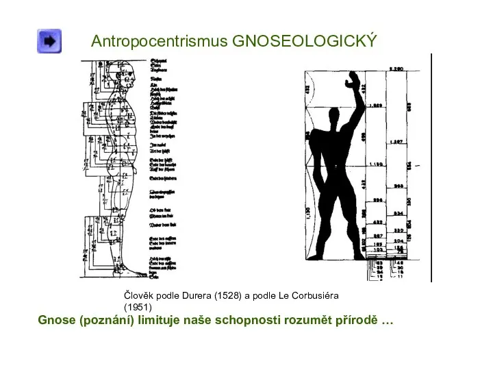 Antropocentrismus GNOSEOLOGICKÝ Člověk podle Durera (1528) a podle Le Corbusiéra (1951)
