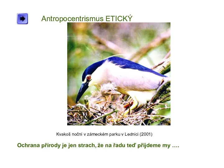 Antropocentrismus ETICKÝ Kvakoš noční v zámeckém parku v Lednici (2001) Ochrana