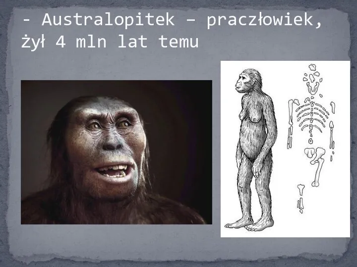 - Australopitek – praczłowiek, żył 4 mln lat temu