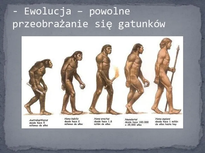 - Ewolucja – powolne przeobrażanie się gatunków