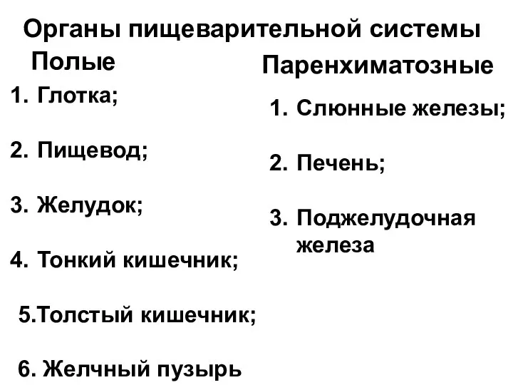 Органы пищеварительной системы Полые Паренхиматозные Глотка; Пищевод; Желудок; Тонкий кишечник; 5.Толстый