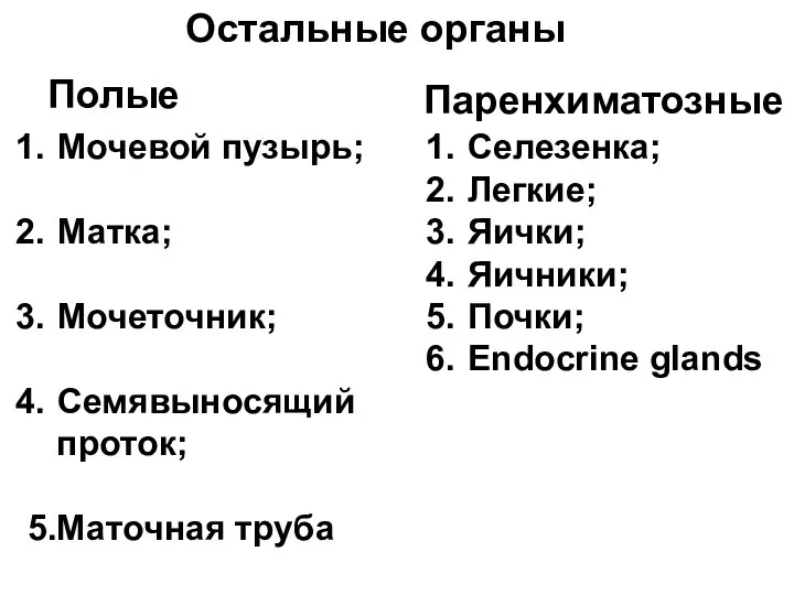 Остальные органы Полые Паренхиматозные Мочевой пузырь; Матка; Мочеточник; Семявыносящий проток; 5.Маточная