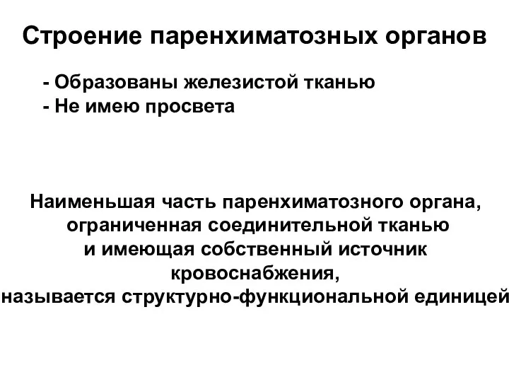 Строение паренхиматозных органов - Образованы железистой тканью - Не имею просвета