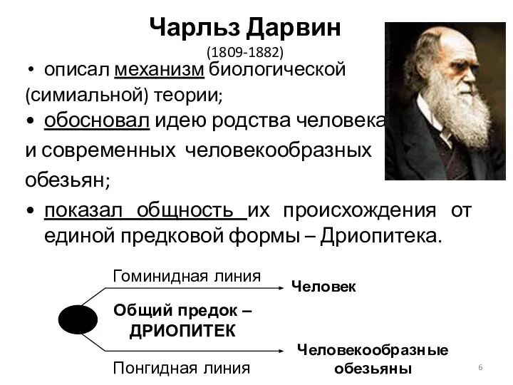 Чарльз Дарвин (1809-1882) описал механизм биологической (симиальной) теории; обосновал идею родства