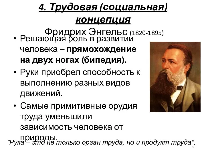 4. Трудовая (социальная) концепция Фридрих Энгельс (1820-1895) Решающая роль в развитии