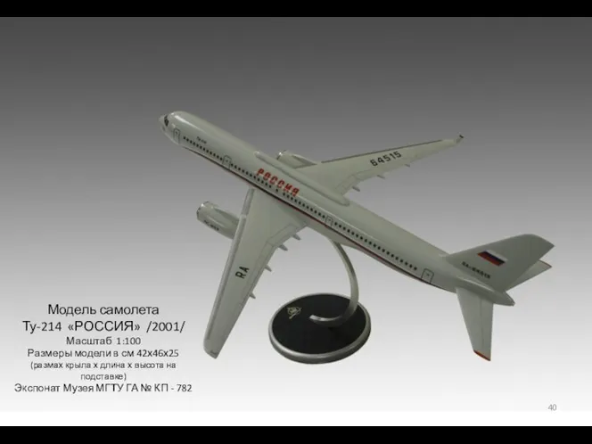 Модель самолета Ту-214 «РОССИЯ» /2001/ Масштаб 1:100 Размеры модели в см