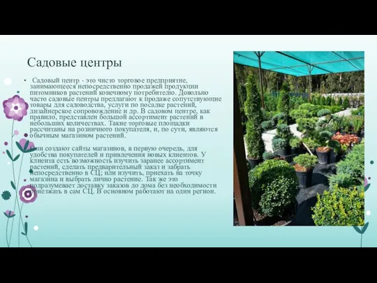 Садовые центры Садовый центр - это чисто торговое предприятие, занимающееся непосредственно