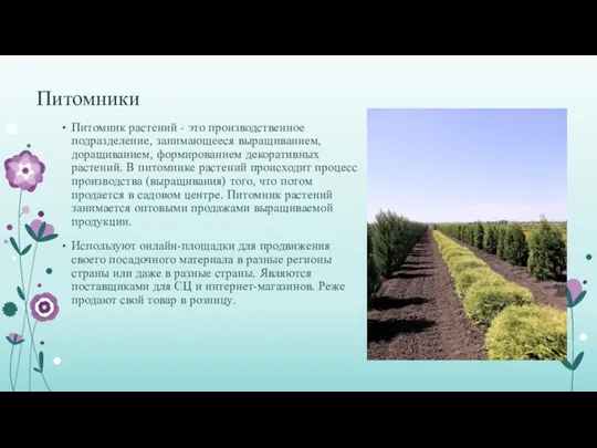 Питомники Питомник растений - это производственное подразделение, занимающееся выращиванием, доращиванием, формированием