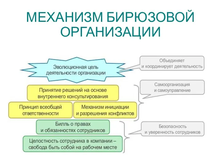 МЕХАНИЗМ БИРЮЗОВОЙ ОРГАНИЗАЦИИ