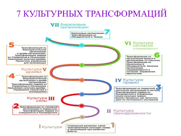 7 КУЛЬТУРНЫХ ТРАНСФОРМАЦИЙ