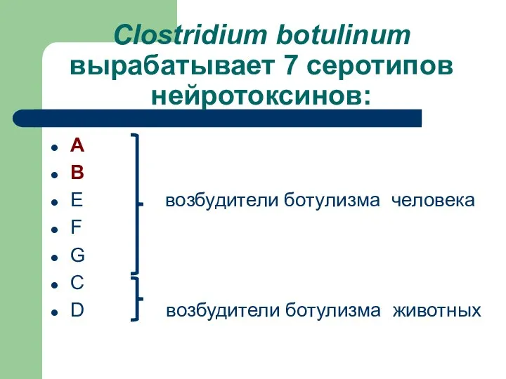 Clostridium botulinum вырабатывает 7 серотипов нейротоксинов: А В E возбудители ботулизма
