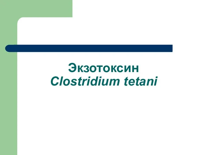 Экзотоксин Clostridium tetani