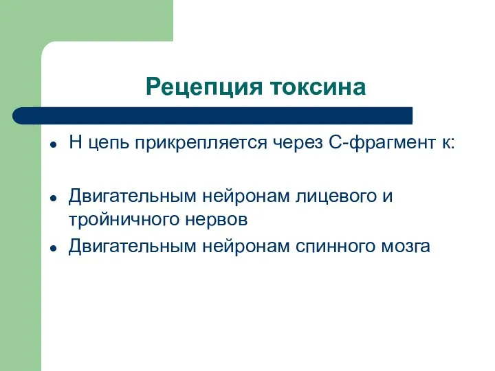 Рецепция токсина Н цепь прикрепляется через С-фрагмент к: Двигательным нейронам лицевого