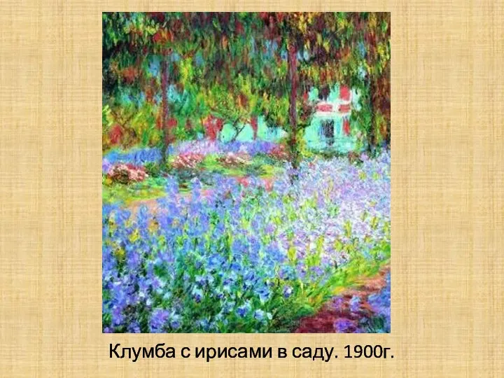 Клумба с ирисами в саду. 1900г.