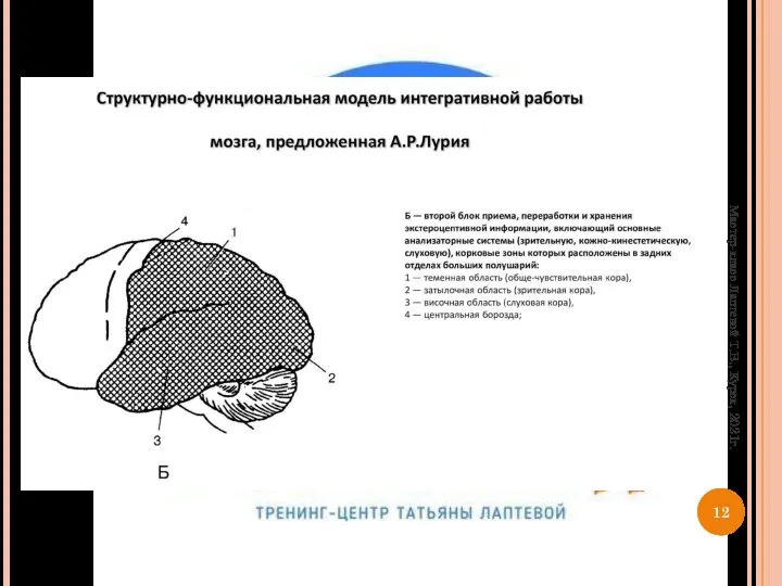 Мастер-класс Лаптевой Т.В., Курск, 2021г.