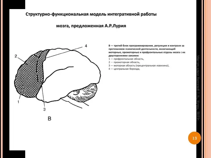 Мастер-класс Лаптевой Т.В., Курск, 2021г.