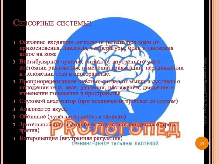 Сенсорные системы: Осязание: входящие сигналы от рецепторов кожи от прикосновения, давления,