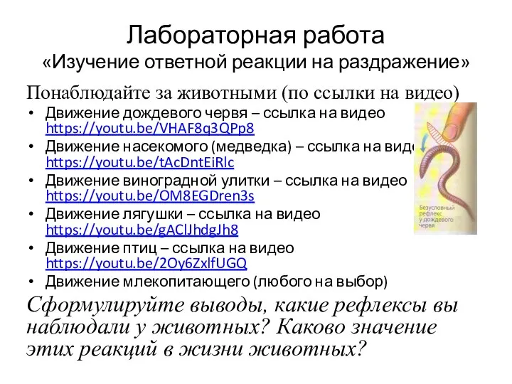 Лабораторная работа «Изучение ответной реакции на раздражение» Понаблюдайте за животными (по