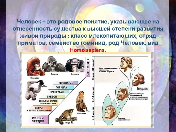 Человек – это родовое понятие, указывающее на отнесенность существа к высшей