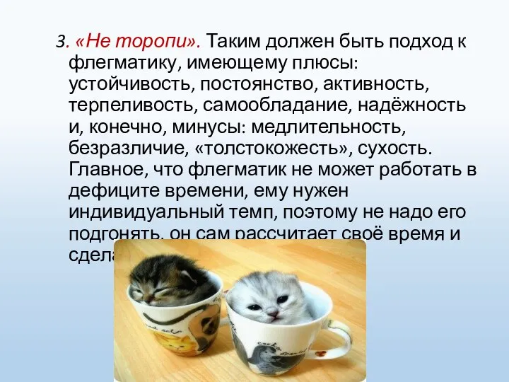 3. «Не торопи». Таким должен быть подход к флегматику, имеющему плюсы: