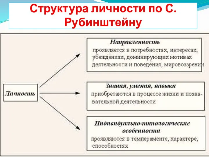 Структура личности по С.Рубинштейну