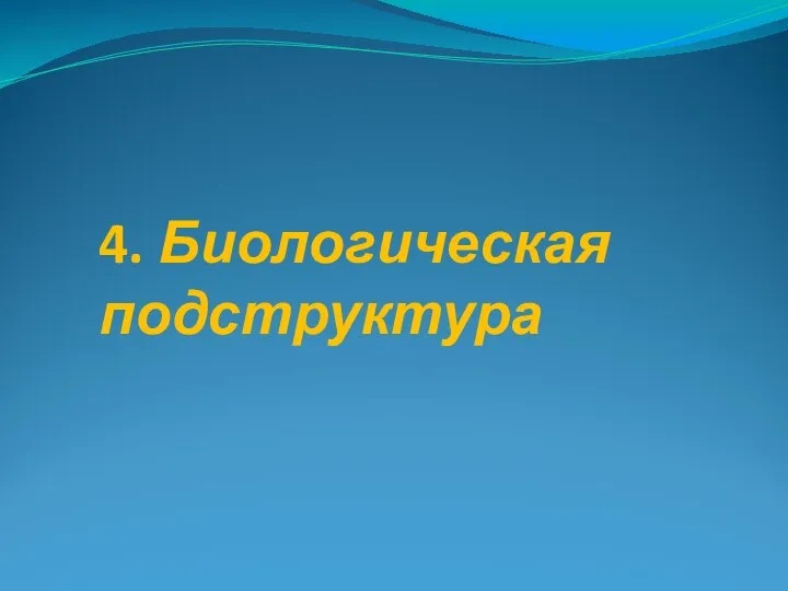 4. Биологическая подструктура