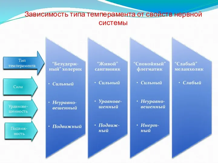 Зависимость типа темперамента от свойств нервной системы Тип темперамента Подвиж-ность Уравнове-шенность Сила