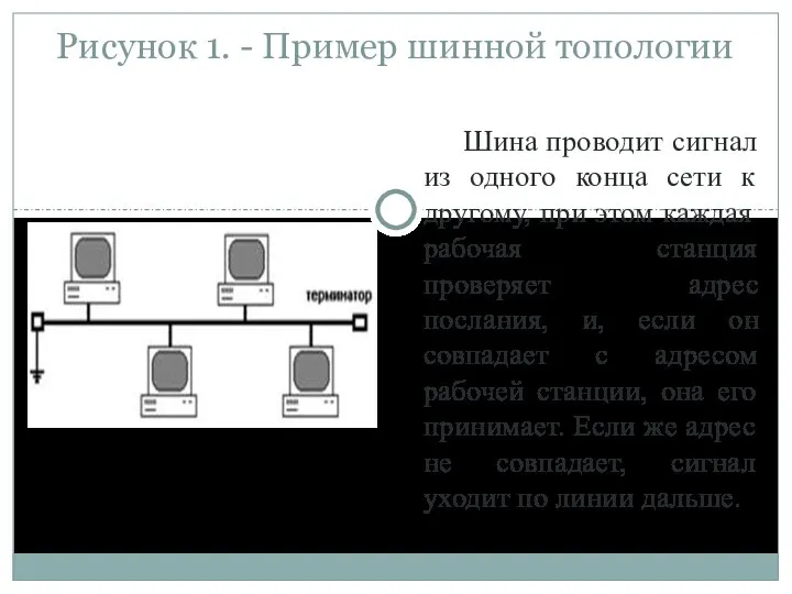 Рисунок 1. - Пример шинной топологии Шина проводит сигнал из одного