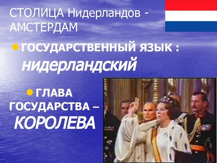 СТОЛИЦА Нидерландов - АМСТЕРДАМ ГОСУДАРСТВЕННЫЙ ЯЗЫК : нидерландский ГЛАВА ГОСУДАРСТВА – КОРОЛЕВА