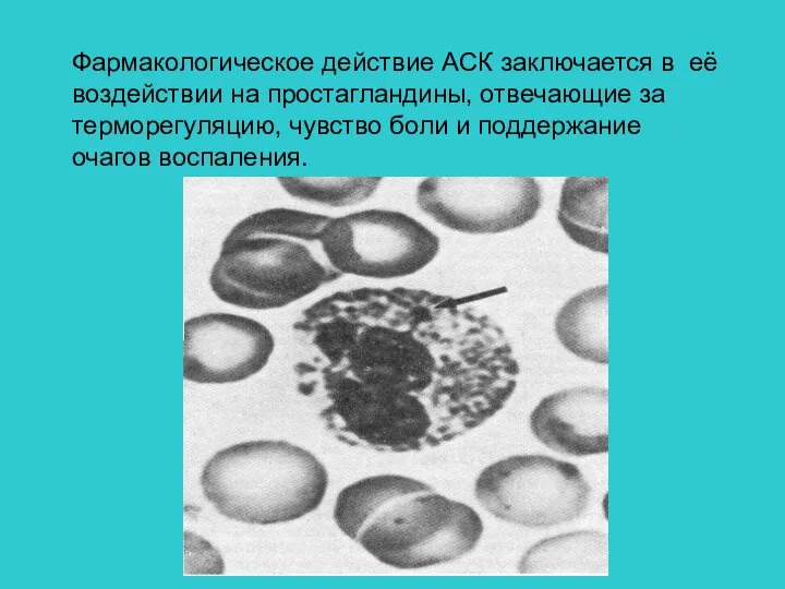 Фармакологическое действие АСК заключается в её воздействии на простагландины, отвечающие за