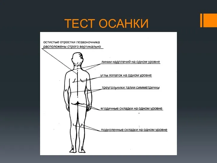 ТЕСТ ОСАНКИ