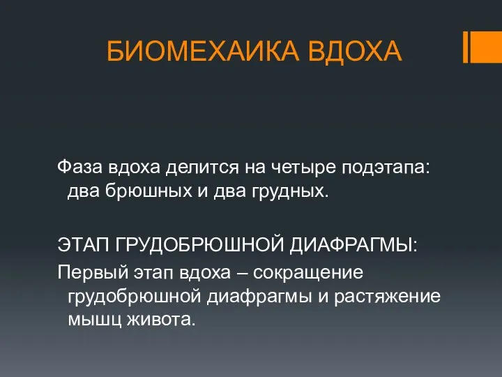 БИОМЕХАИКА ВДОХА Фаза вдоха делится на четыре подэтапа: два брюшных и