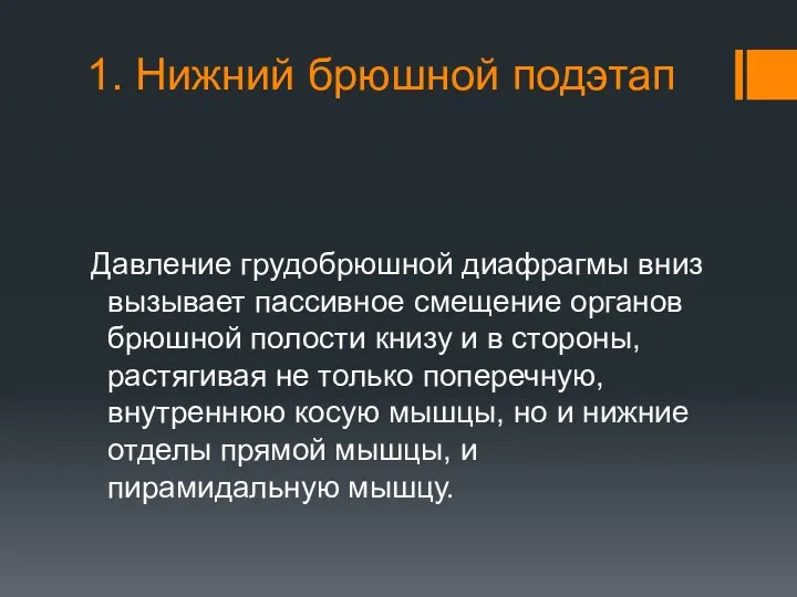 1. Нижний брюшной подэтап Давление грудобрюшной диафрагмы вниз вызывает пассивное смещение