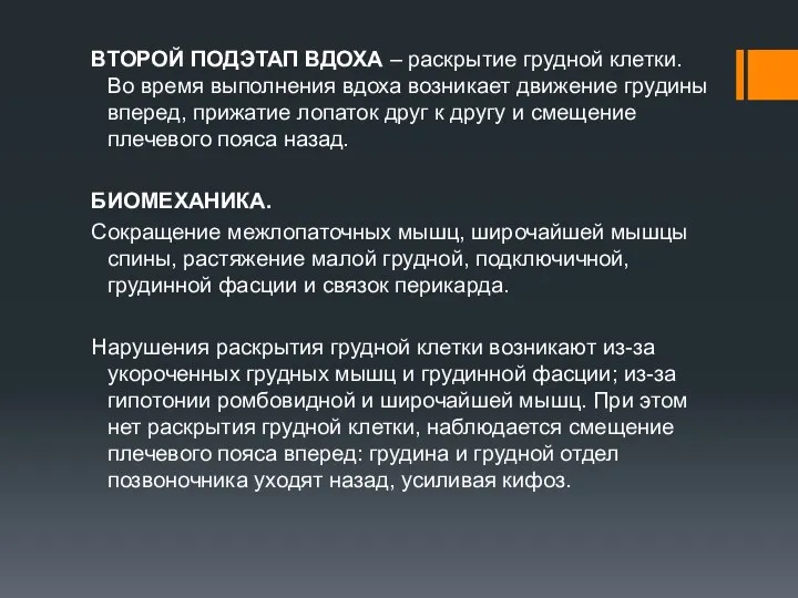 ВТОРОЙ ПОДЭТАП ВДОХА – раскрытие грудной клетки. Во время выполнения вдоха