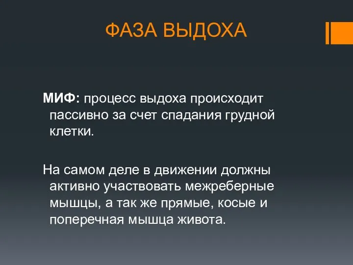 ФАЗА ВЫДОХА МИФ: процесс выдоха происходит пассивно за счет спадания грудной