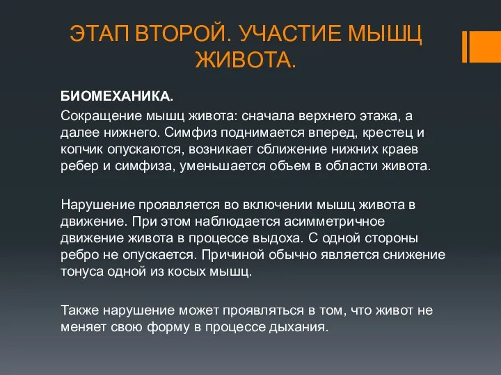 ЭТАП ВТОРОЙ. УЧАСТИЕ МЫШЦ ЖИВОТА. БИОМЕХАНИКА. Сокращение мышц живота: сначала верхнего